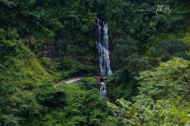 THAI AN